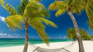 Cayman 2019 and 2020 CRS Compliance Form is Due in Less Than a Month!