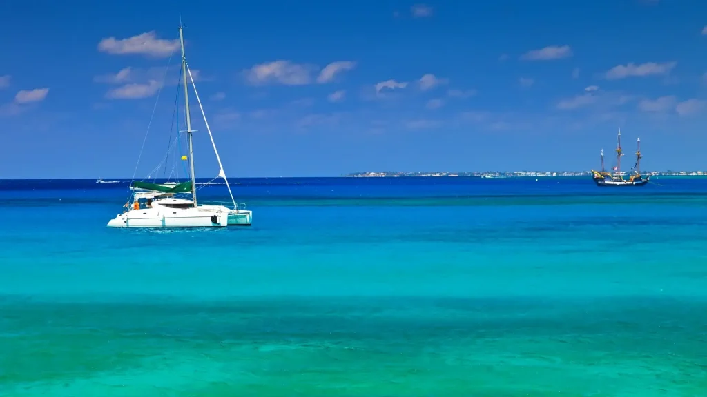 February 2022 Cayman DITC Updates Bulletin!