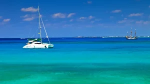 February 2022 Cayman DITC Updates Bulletin!